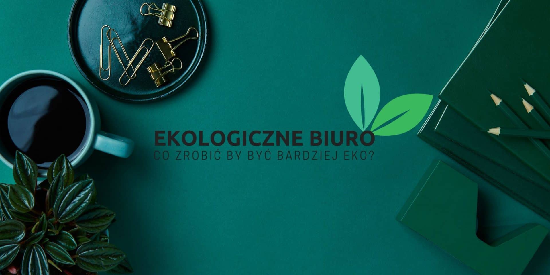 Ekologiczne biuro – co zrobić by być bardziej eko w firmie?