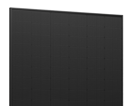 Technologia_Half_Cut